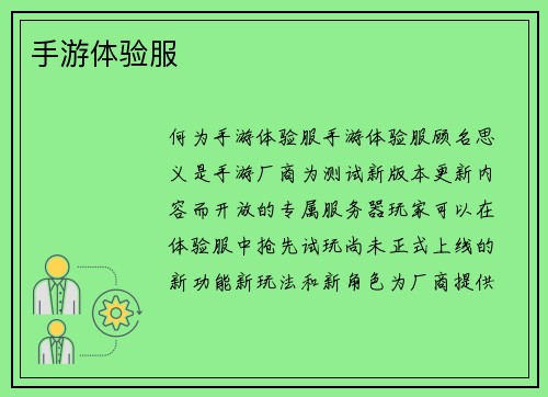 手游体验服