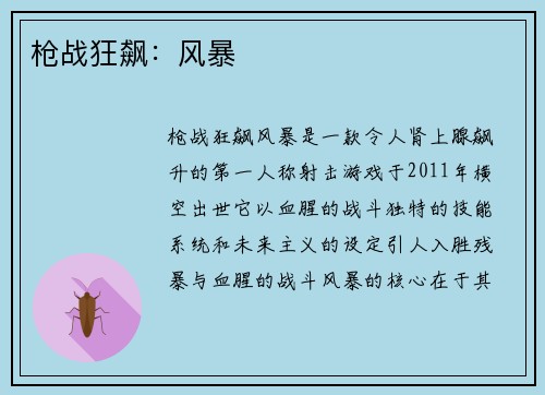 枪战狂飙：风暴
